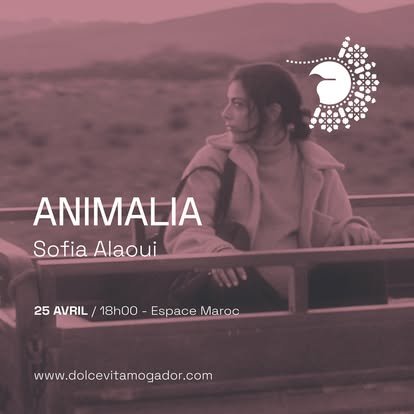 Social 02 — Animalia